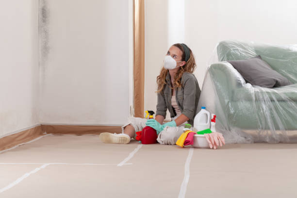 Reliable Bathroom Mold Removal contractor in Nederland, TX by WQB Mold Removal